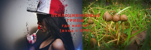 шишки Каменка