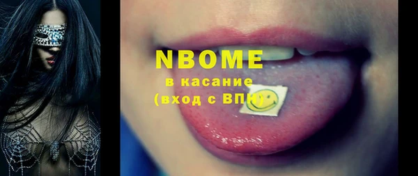 шишки Каменка