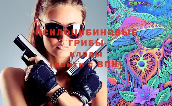 шишки Каменка