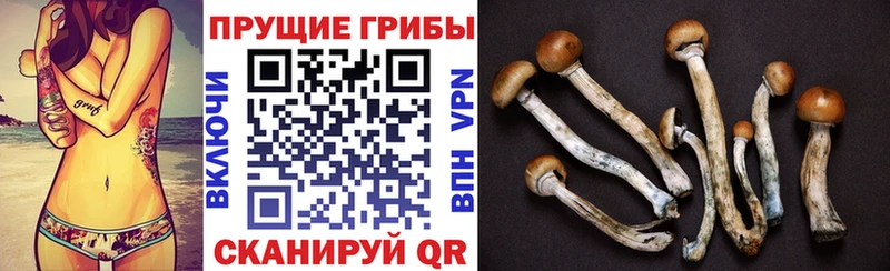 Галлюциногенные грибы мицелий  Домодедово 